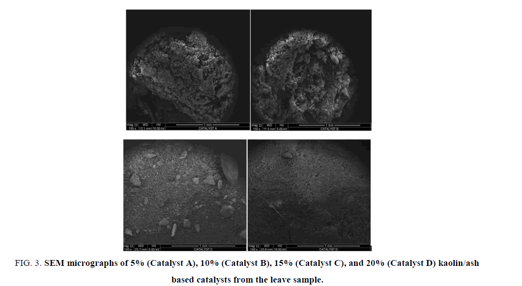 materials-science-micrographs