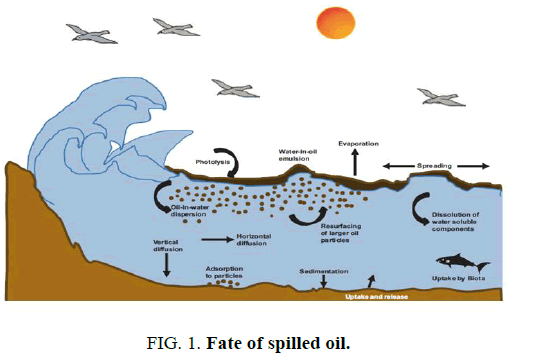 materials-science-spilled-oil