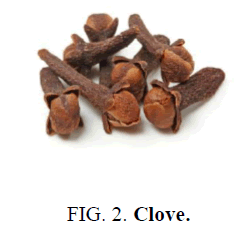 nano-science-nano-technology-Clove