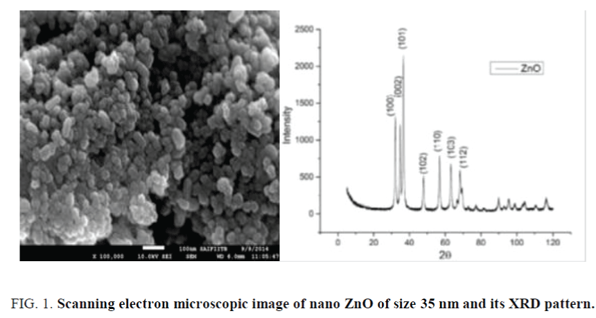 nano-science-nano-technology-electron-microscopic-image