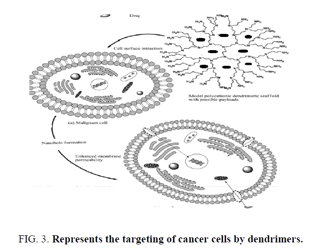nano-science-targeting-cancer-cells