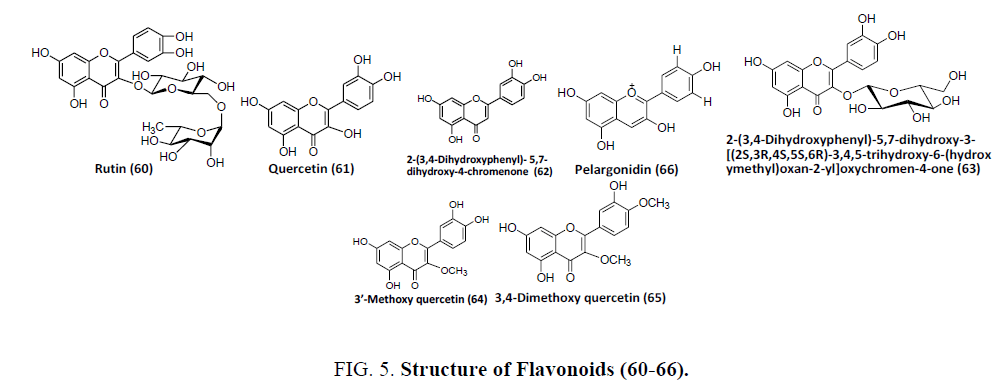 natural-products-Flavonoids