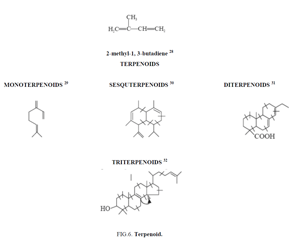 natural-products-Terpenoid