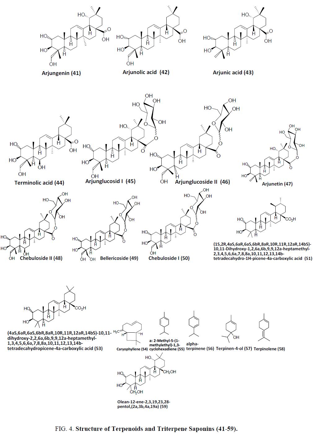 natural-products-Terpenoids-Triterpene