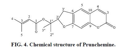 natural-products-chemical