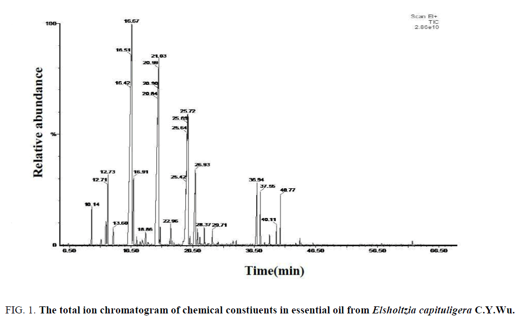 natural-products-chemical-constiuents