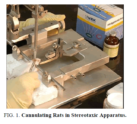 natural-products-stereotaxic