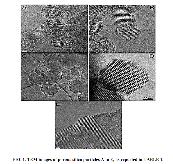 physical-chemistry-TEM-images-porous-silica-particles