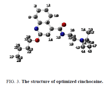 physical-chemistry-cinchocaine