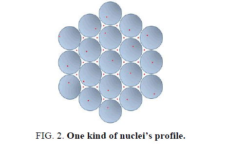 physics-astronomy-nuclei-profile