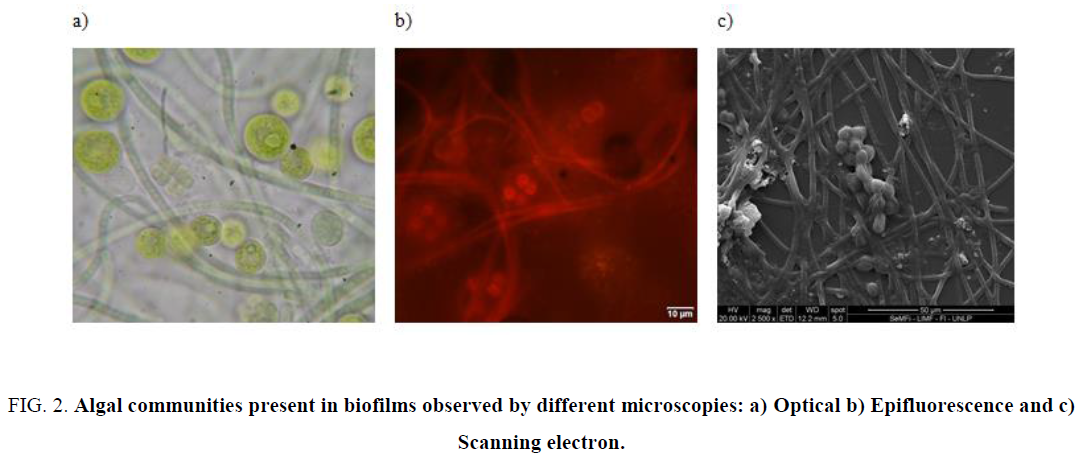 research-reviews-biosciences-Algal-communities