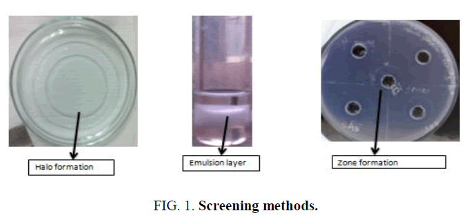 research-reviews-biosciences-Screening-methods