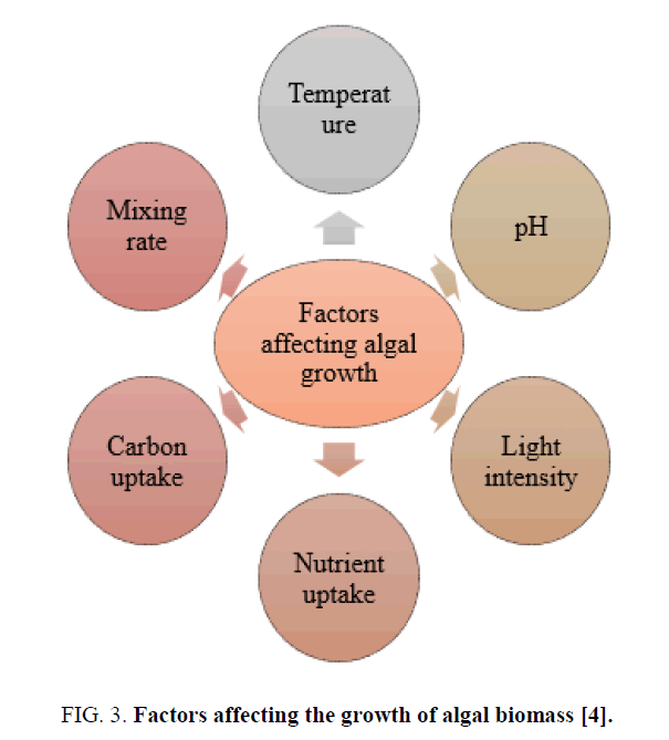 research-reviews-biosciences-algal-biomass