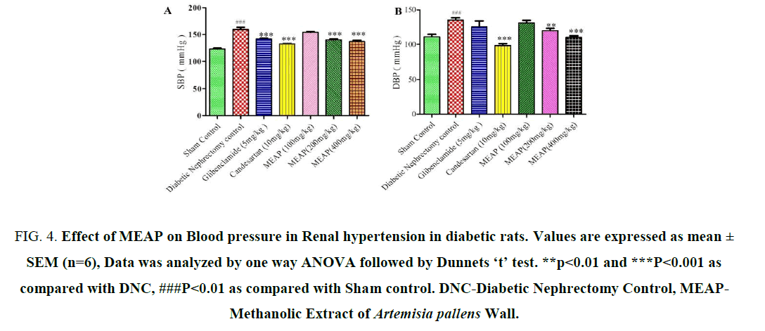 research-reviews-biosciences-diabetic-rats