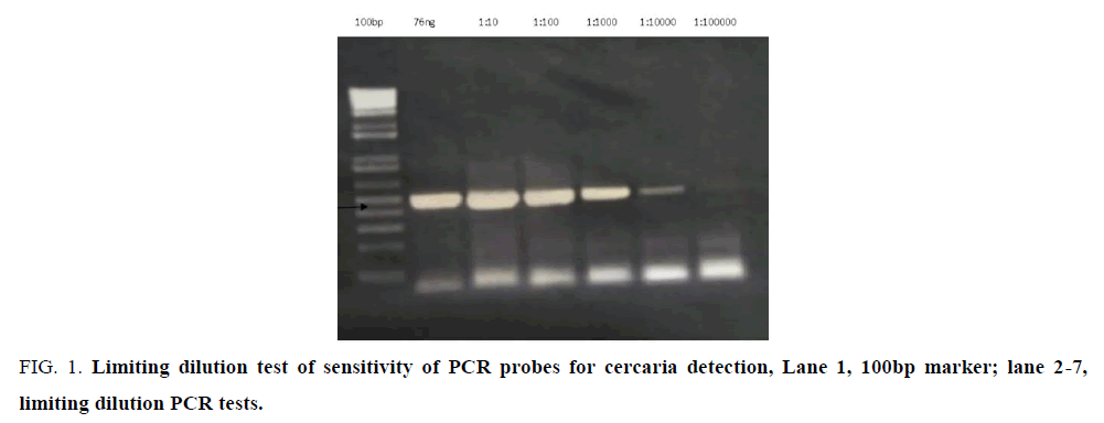 research-reviews-biosciences-dilution