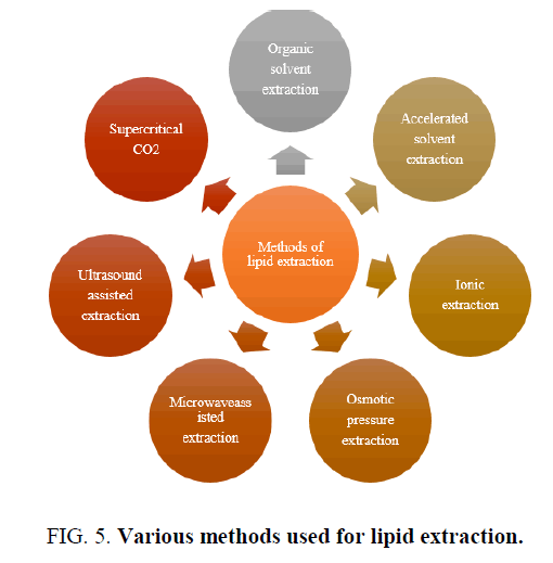 research-reviews-biosciences-lipid-extraction