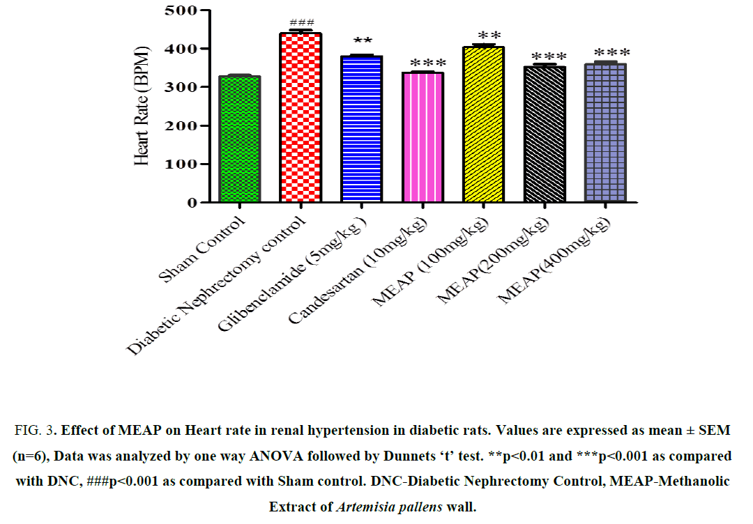 research-reviews-biosciences-renal-hypertension