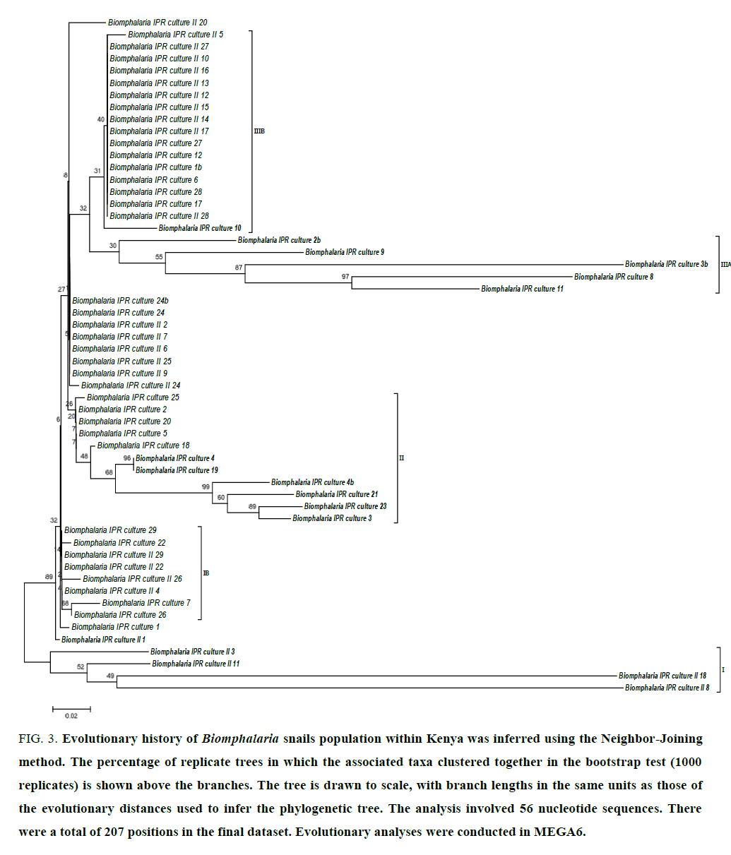 research-reviews-biosciences-replicate