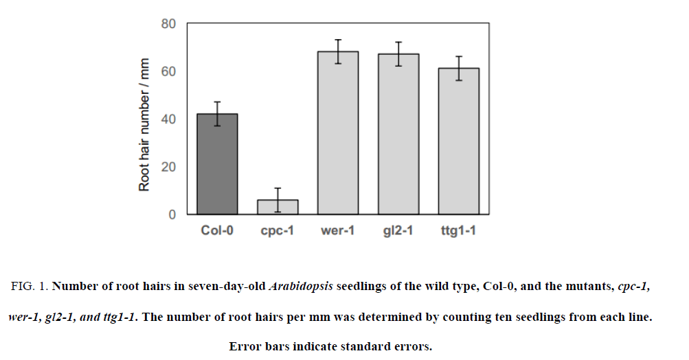 research-reviews-biosciences-root-hairs