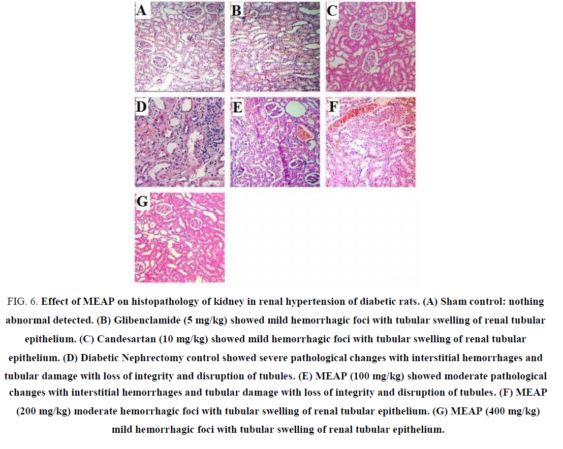 research-reviews-biosciences-tubular-damage