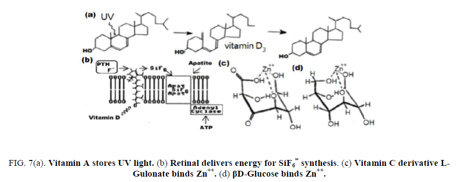 research-reviews-electrochemistry-Retinal-delivers-energy