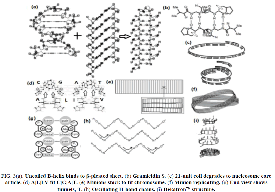 research-reviews-electrochemistry-Uncoiled-B-helix-binds