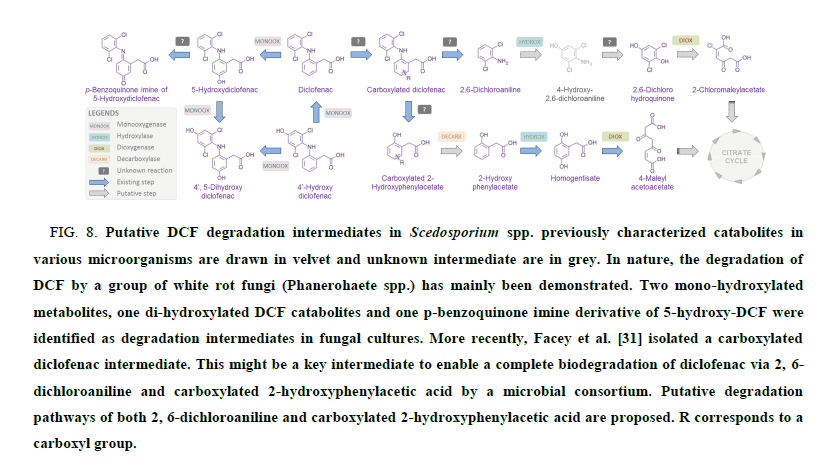 research-reviews-electrochemistry-intermediates