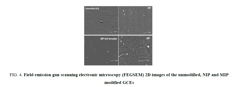 research-reviews-electrochemistry-microscopy