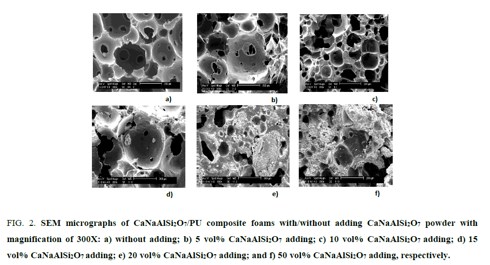 research-reviews-polymer-SEM-micrographs