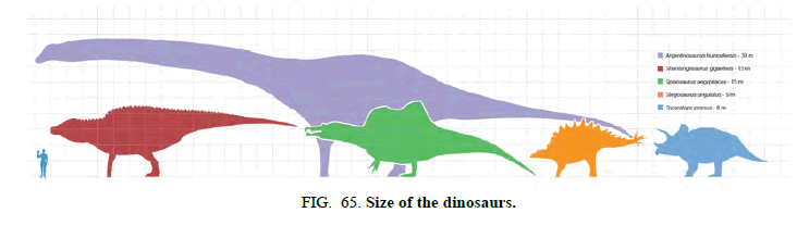 space-exploration-Size-dinosaurs